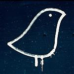 Аватар для Zebooka