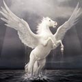   Pegasus